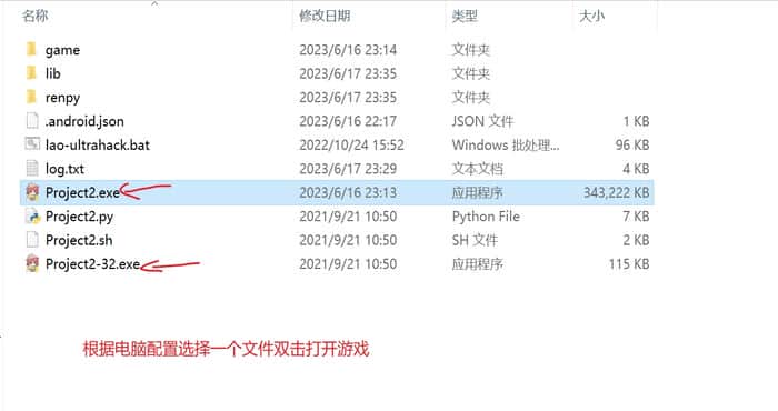 Snipaste 2023 06 20 16 10 58 游戏运行说明