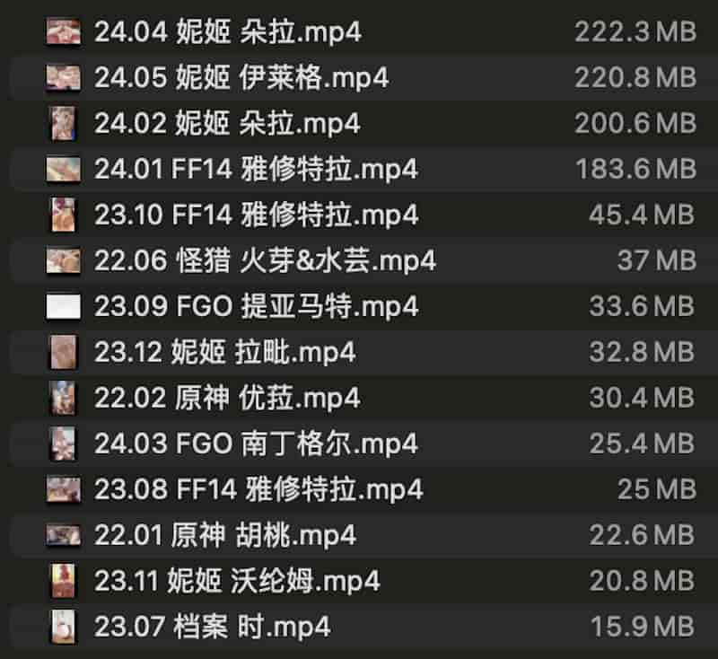 截屏2024 06 01 23.33.46 ♣3大佬作品合集【2d同人动画/无修正/14V/1G】