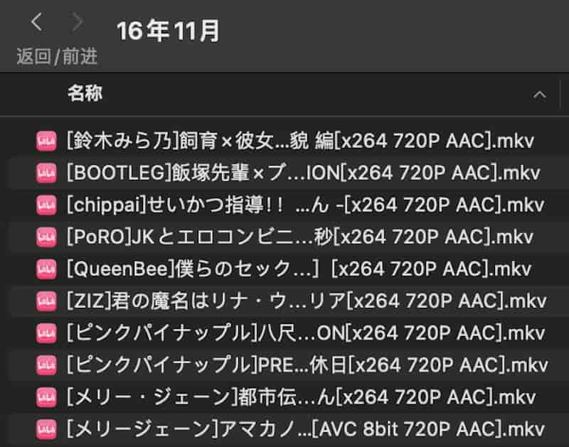 截屏2024 06 02 18.58.44 【经典老番/中字】2016年11月里番合集【熟肉/3.7G/10V】