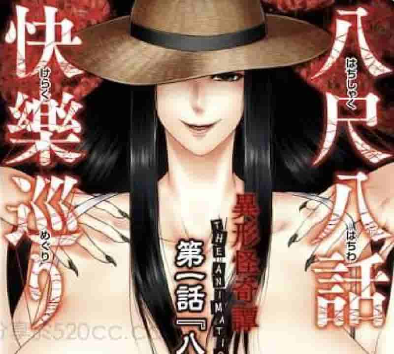截屏2024 06 06 22.19.45 【经典老番/中字】2016年11月里番合集【熟肉/3.7G/10V】