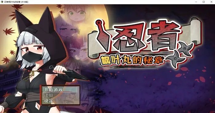 photo 2024 12 21 15 19 24 忍者枫叶丸的秘章 Steam官中【RPG游戏/步兵 】PC游戏